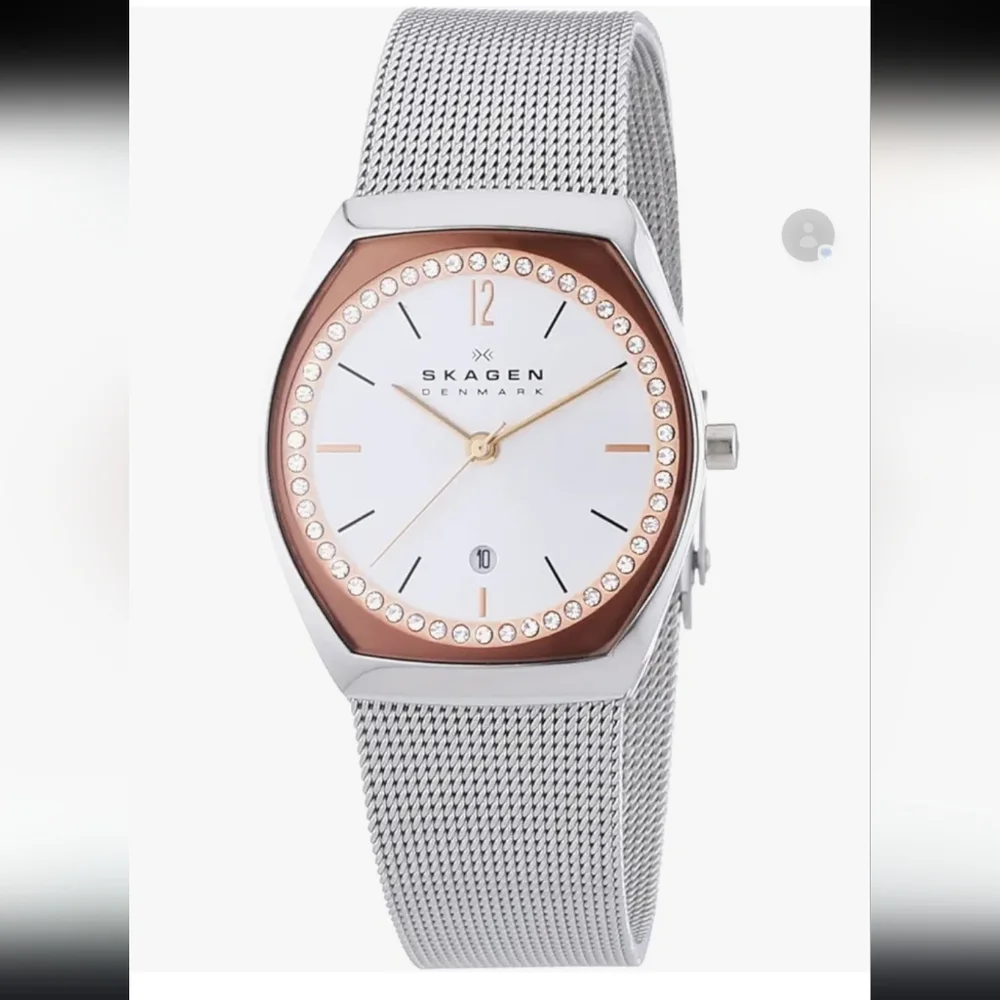 Skagen Asta Stainless Steel Mesh Watch w/Rose Face Date